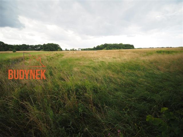 Działka rolna Rusinowo. Zdjęcie 9