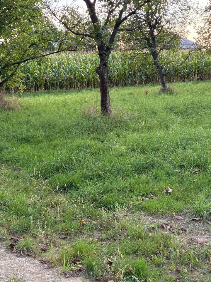 Działka rolno-budowlana Łańcut Grabskie, ul. Władysława Grabskiego. Zdjęcie 6
