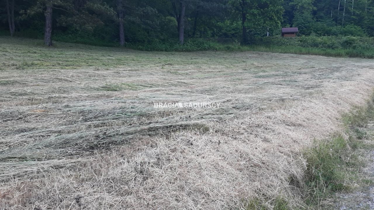 Działka rolna Kraków Dębniki, ul. Walgierza Wdałego. Zdjęcie 7