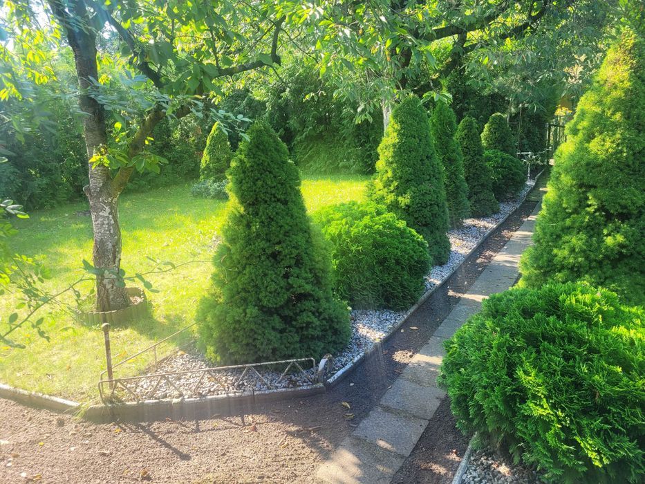 Działka rod Szamotuły, ul. Wojska Polskiego. Zdjęcie 7