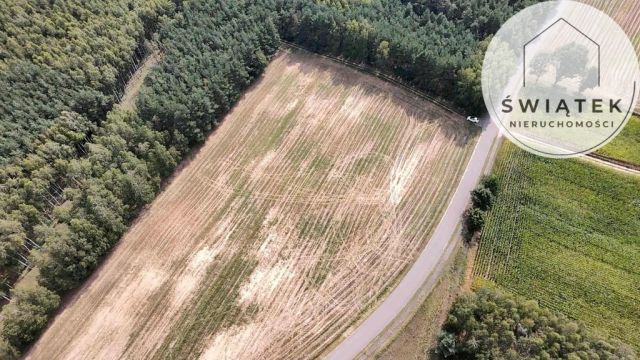 Działka budowlana Rogowo. Zdjęcie 1