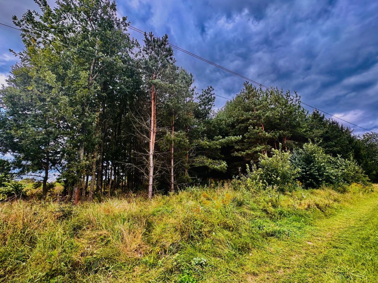 Działka siedliskowa Drygały, ul. Polna. Zdjęcie 5