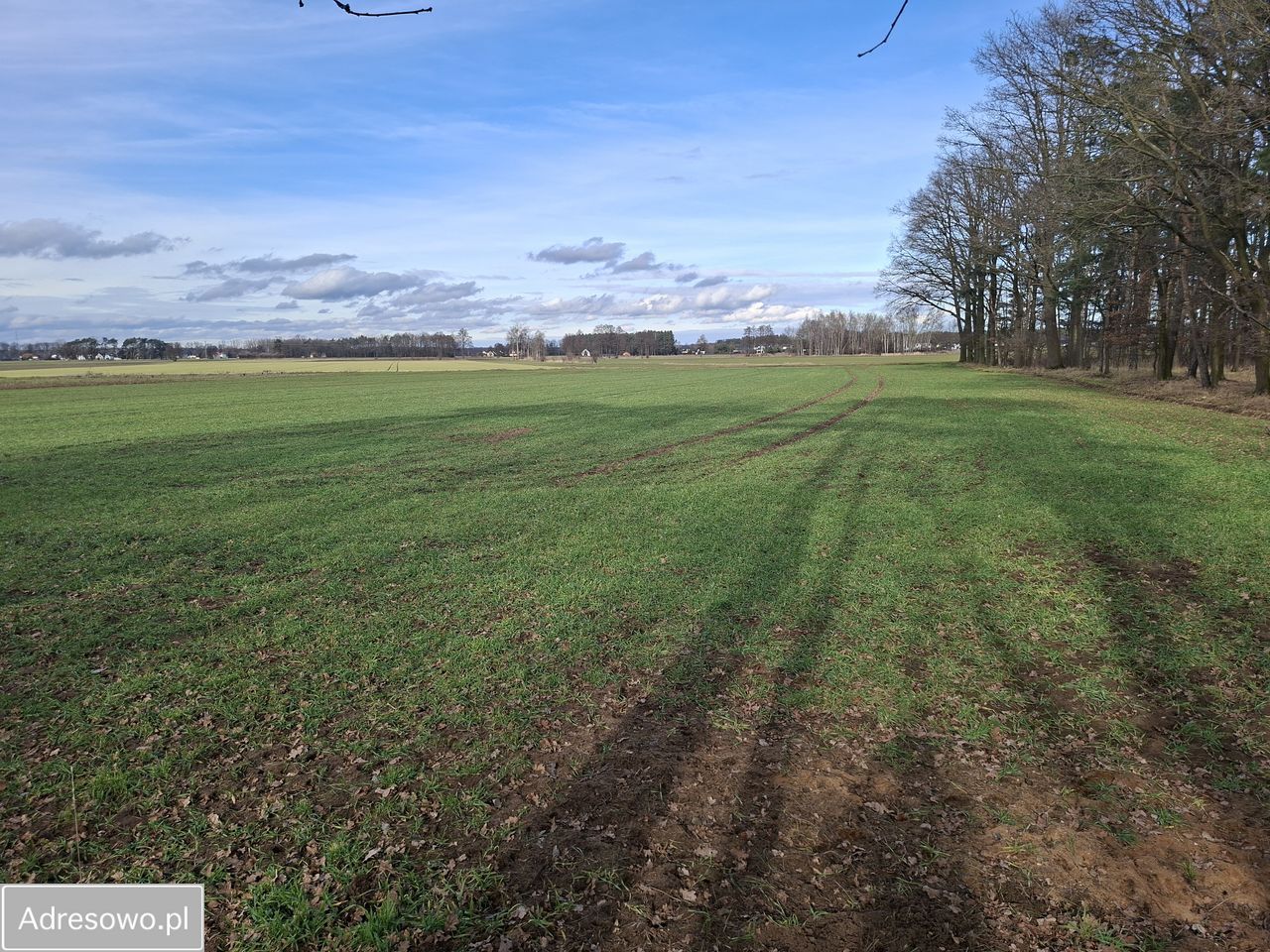 Działka rolna Zawada, ul. Luboszycka. Zdjęcie 9