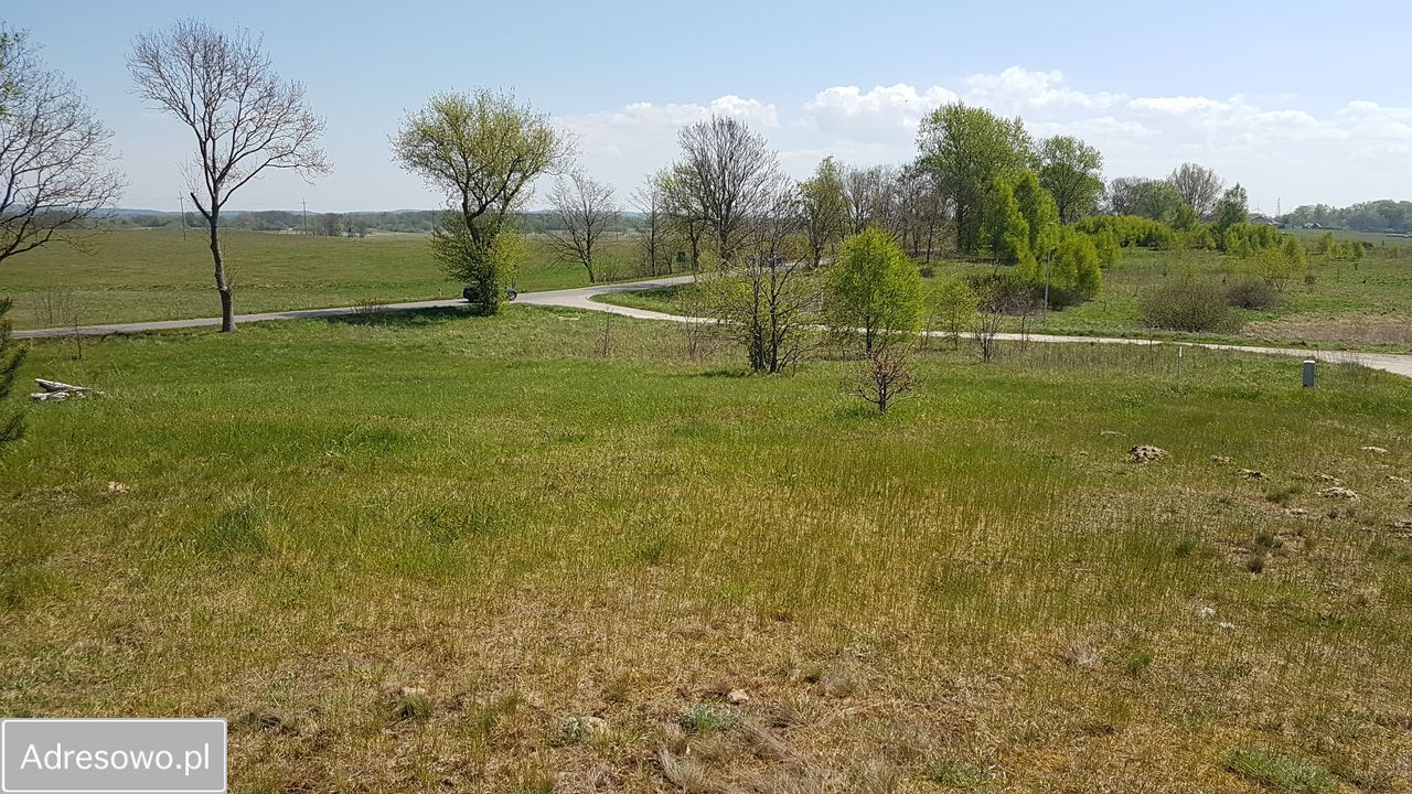 Działka budowlana Dębina. Zdjęcie 2