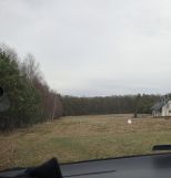 Działka budowlana Żdżary. Zdjęcie 1