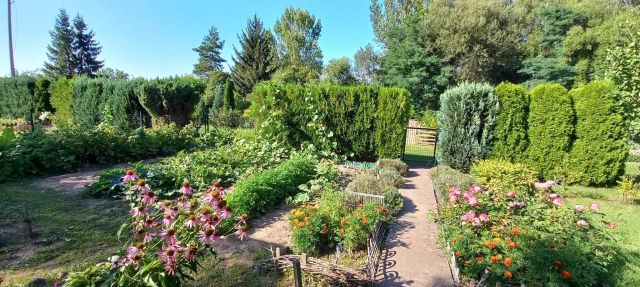 Działka rod Świdnica, ul. Śląska. Zdjęcie 1