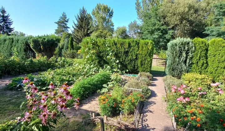 Działka rod Świdnica, ul. Śląska