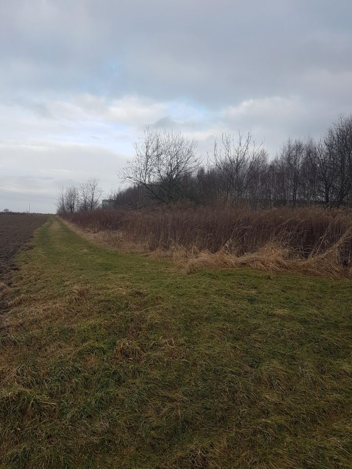 Działka inwestycyjna Żory Baranowice, ul. Familijna. Zdjęcie 4