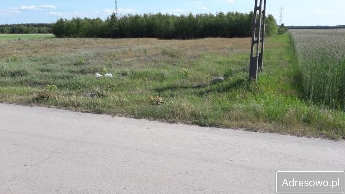 Działka siedliskowa Rosy. Zdjęcie 2