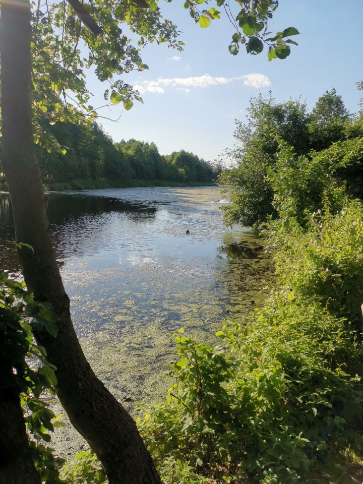 Działka rekreacyjna Wólka Zamkowa. Zdjęcie 2