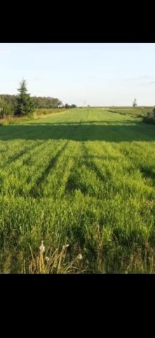 Działka siedliskowa Srebrna. Zdjęcie 1