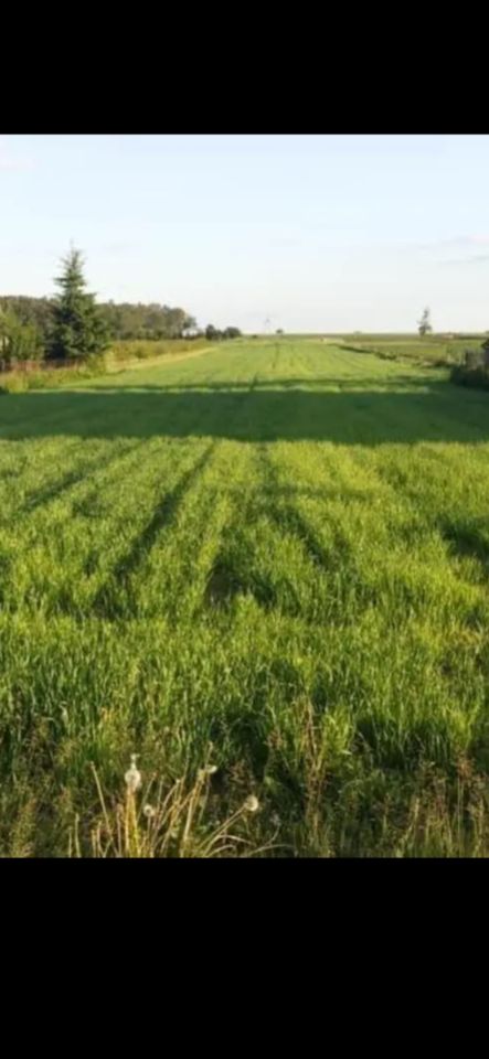 Działka siedliskowa Srebrna