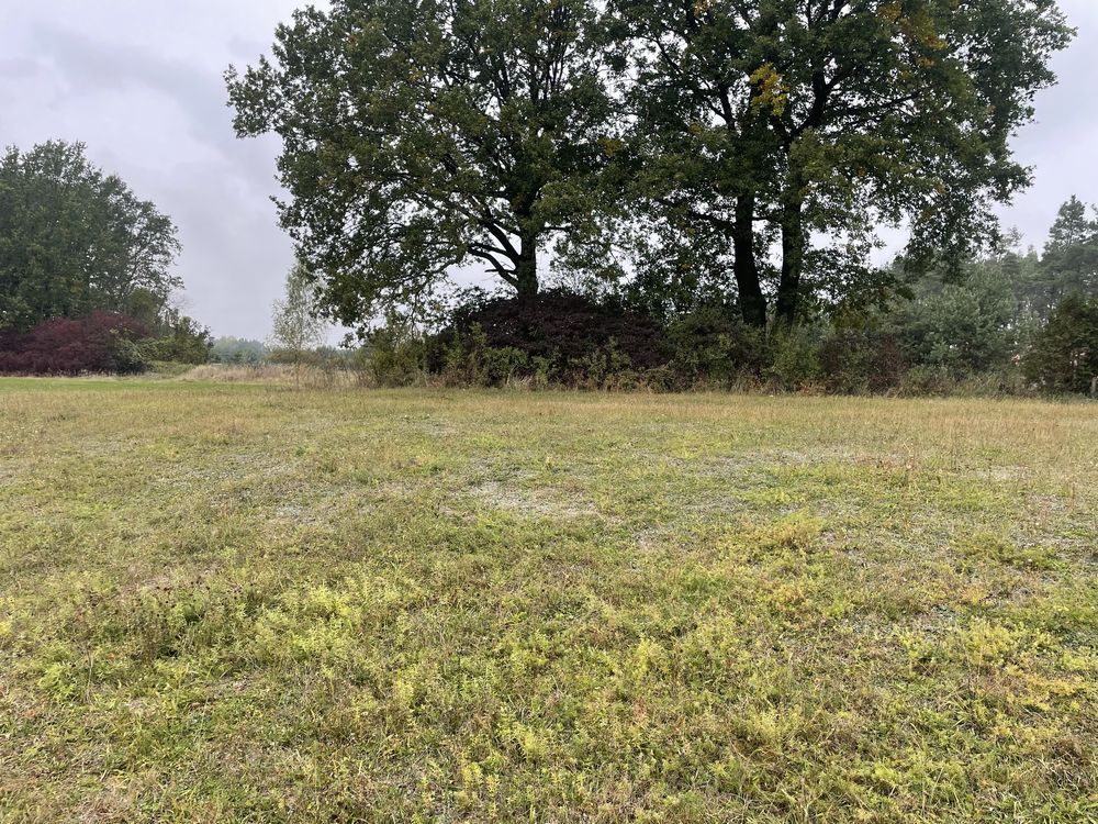 Działka budowlana Tonkiele. Zdjęcie 4