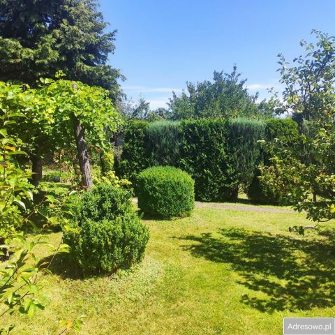 Działka rod Konin. Zdjęcie 1