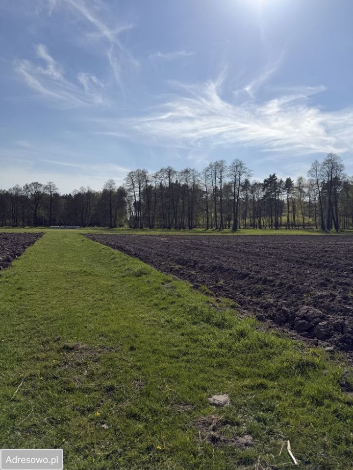 Działka budowlana Łaziska Górne, ul. Cieszyńska. Zdjęcie 2
