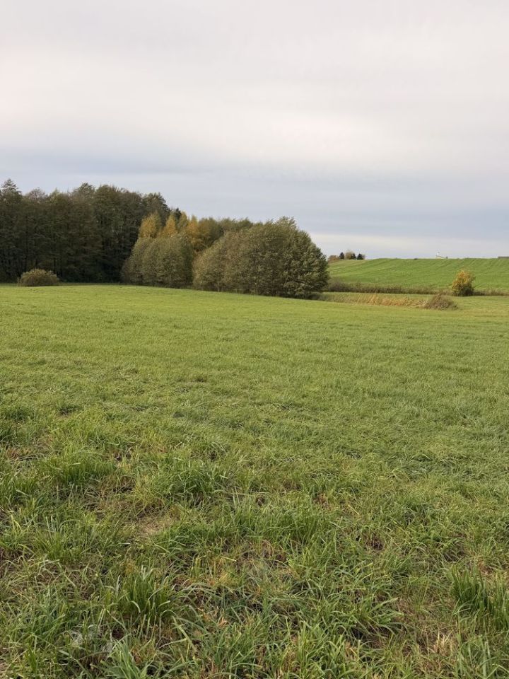 Działka budowlana Złotowo. Zdjęcie 5