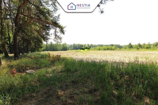 Działka rolna Grabowo. Zdjęcie 3