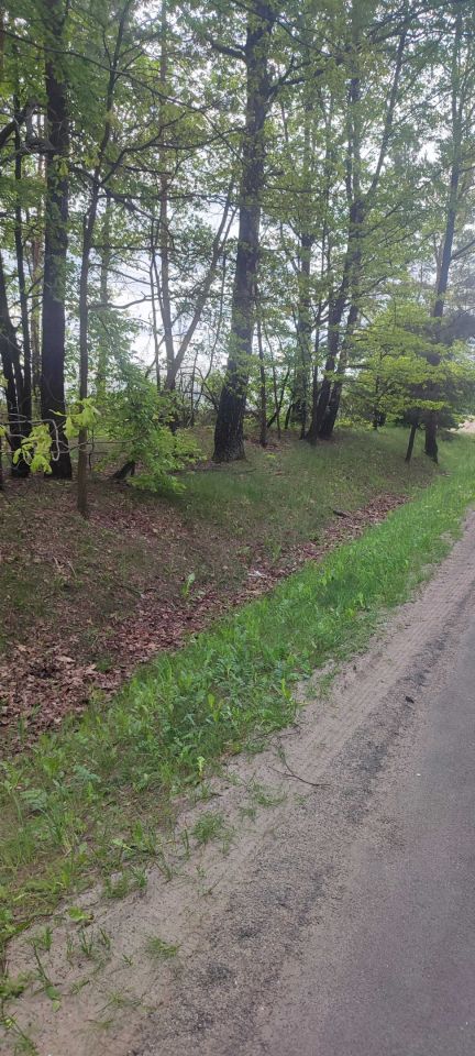 Działka leśna Wypychów. Zdjęcie 6