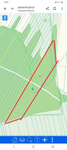 Działka leśna Miasteczko. Zdjęcie 1