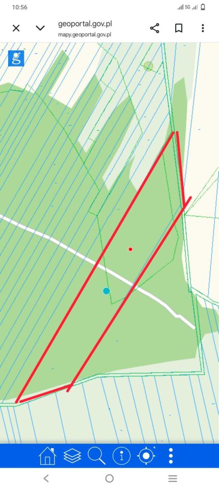 Działka leśna Miasteczko. Zdjęcie 1