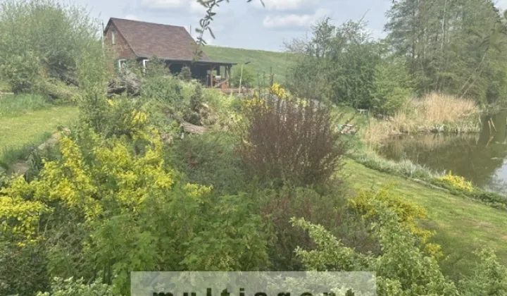 Działka Sobieradz