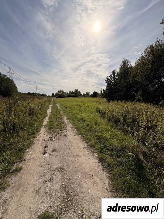 Działka rolno-budowlana Rytwiany. Zdjęcie 4