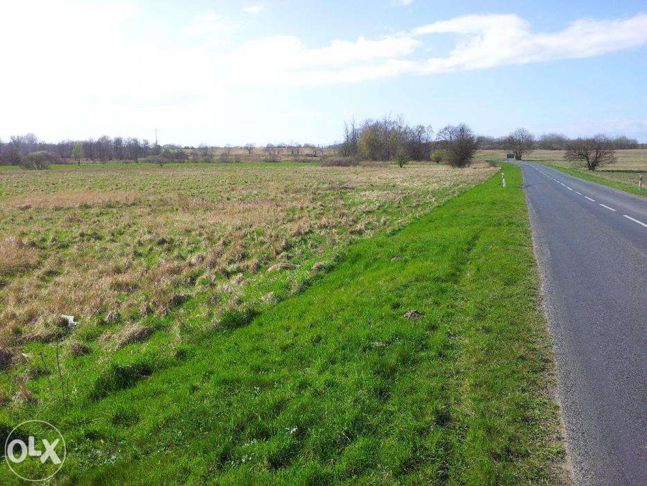 Działka rolna Niechorze. Zdjęcie 3