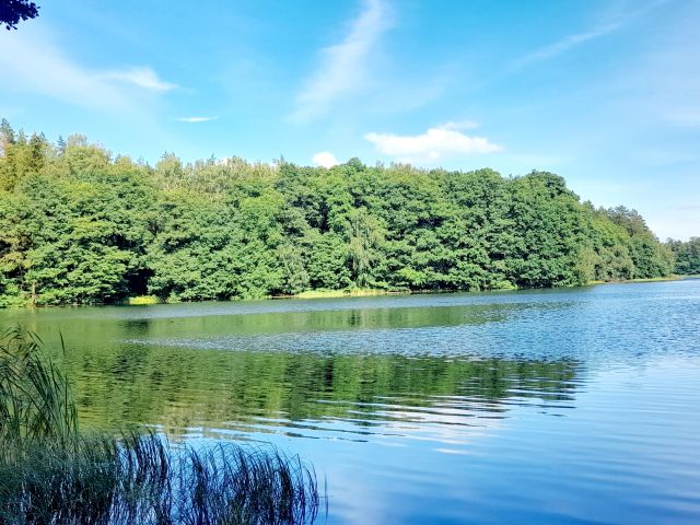 Działka budowlana Florczaki. Zdjęcie 1