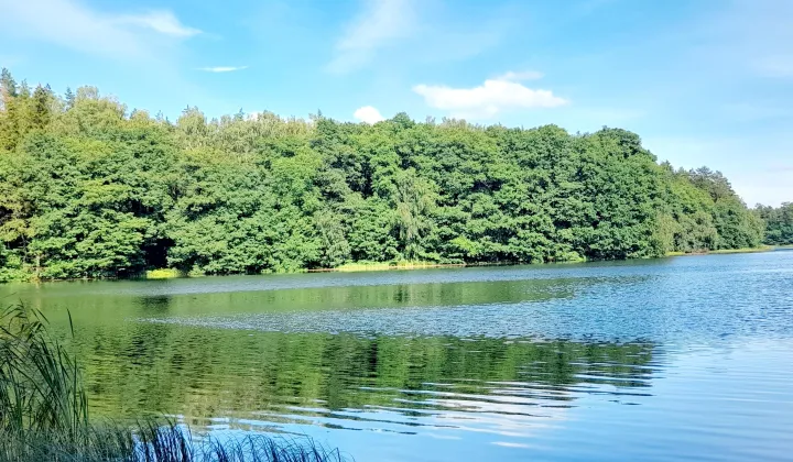 Działka rekreacyjna Florczaki