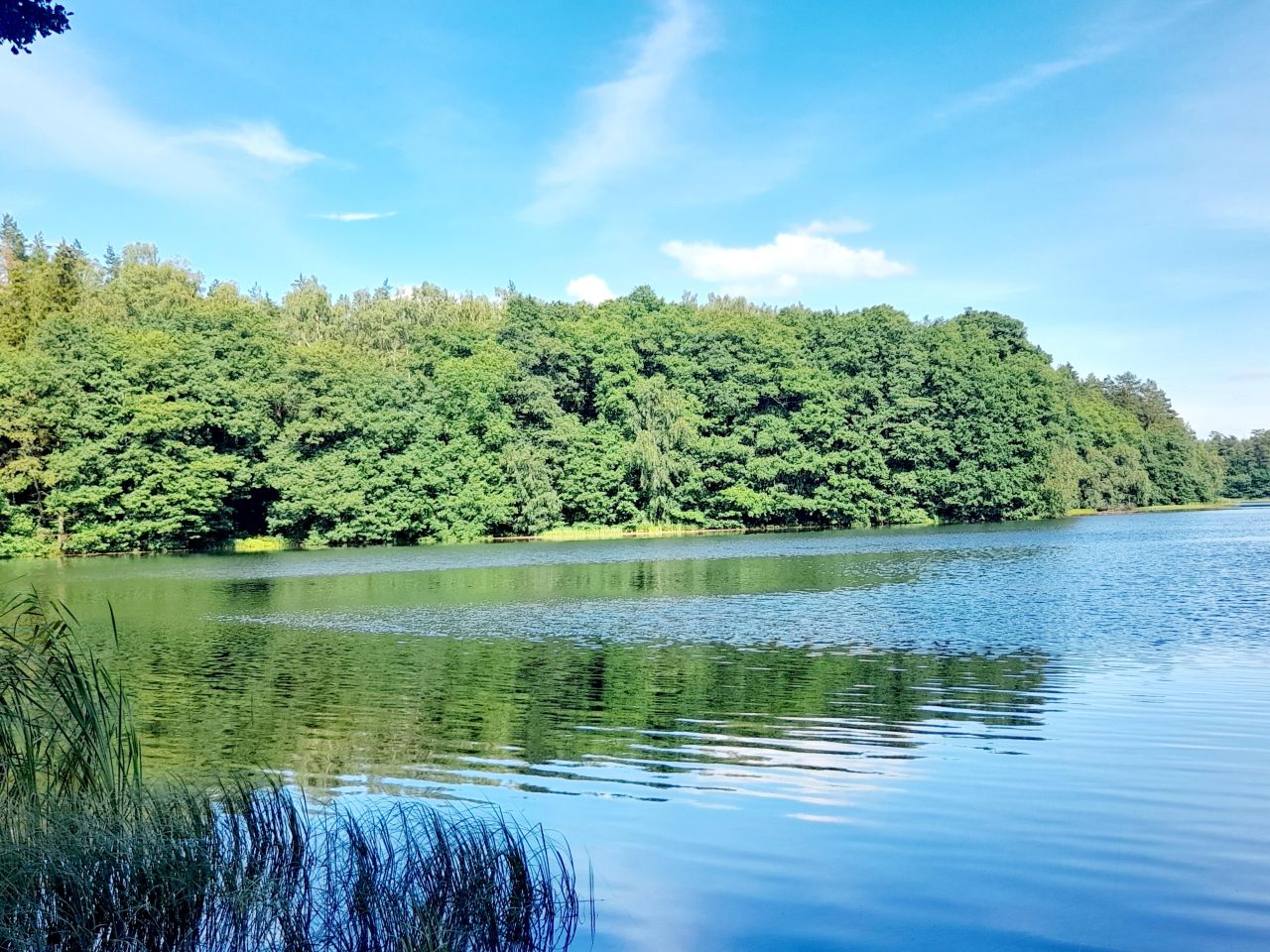 Działka rekreacyjna Florczaki