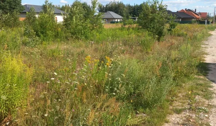 Działka budowlana Tłuszcz, ul. Jarzynowa