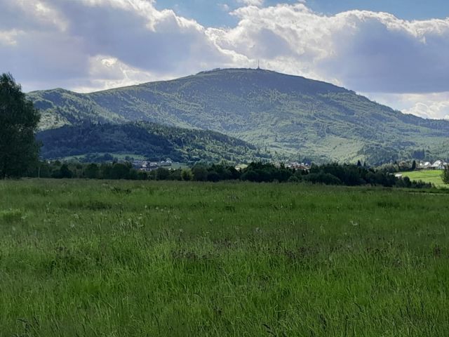 Działka budowlana Lipowa, ul. Promienna. Zdjęcie 1