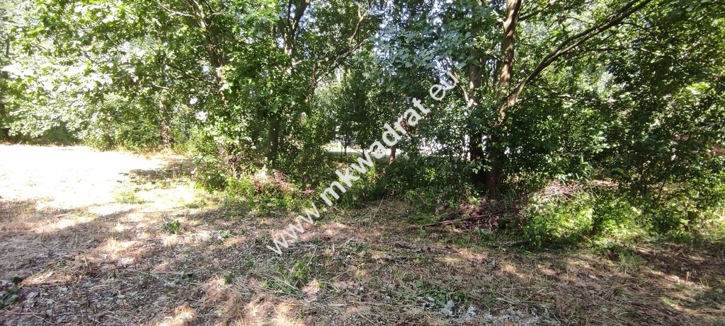 Działka budowlana Milanówek. Zdjęcie 8