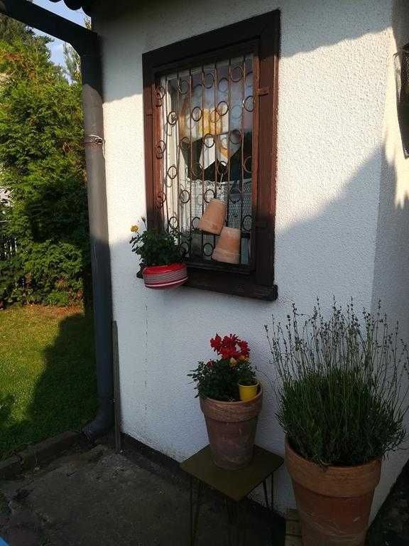 Działka rod Wronki. Zdjęcie 3