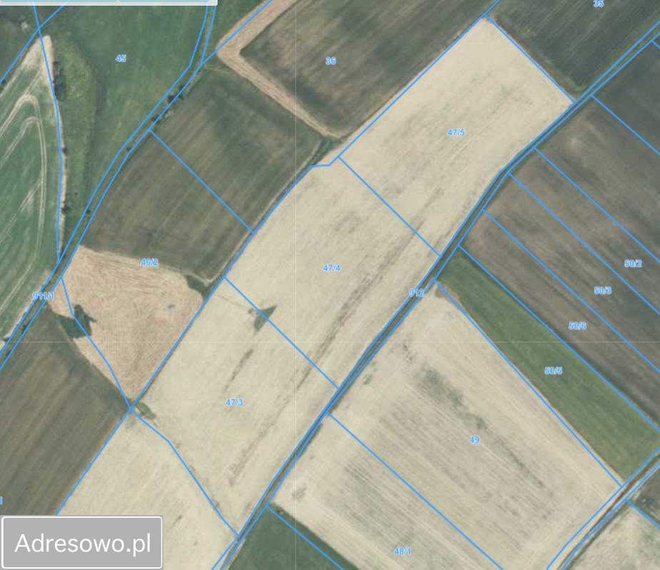 Działka rolna Stary Waliszów. Zdjęcie 9