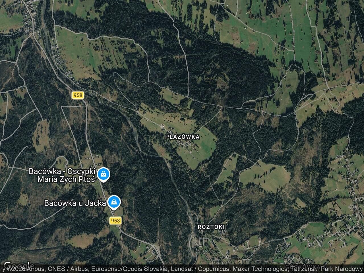 Działka rolna Witów Płazówka. Zdjęcie 1