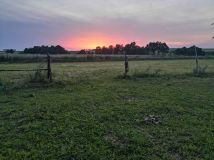 Działka rolna Czyżowice. Zdjęcie 4