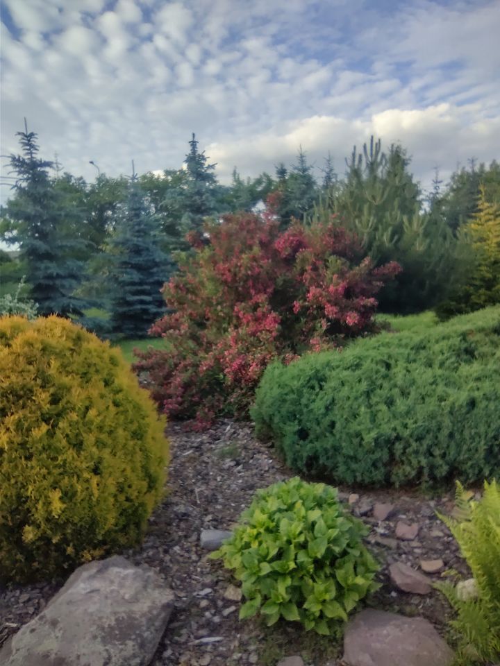 dom wolnostojący, 6 pokoi Mniów Raszówka, ul. Raszówka. Zdjęcie 23