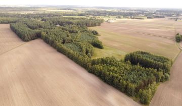 Działka siedliskowa Jeleń