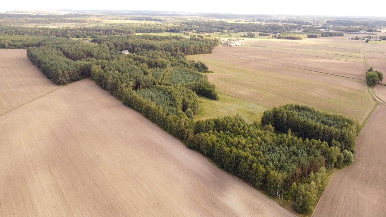 Działka siedliskowa Jeleń. Zdjęcie 2