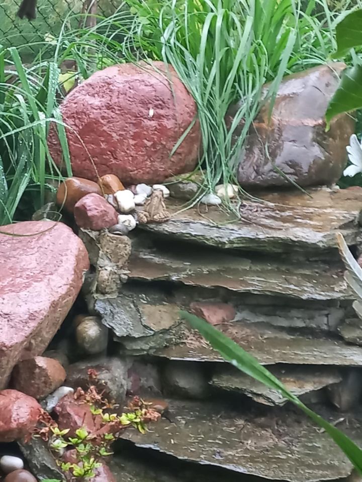 Działka rod Dys Bernatówka, ul. Bernatówka. Zdjęcie 25