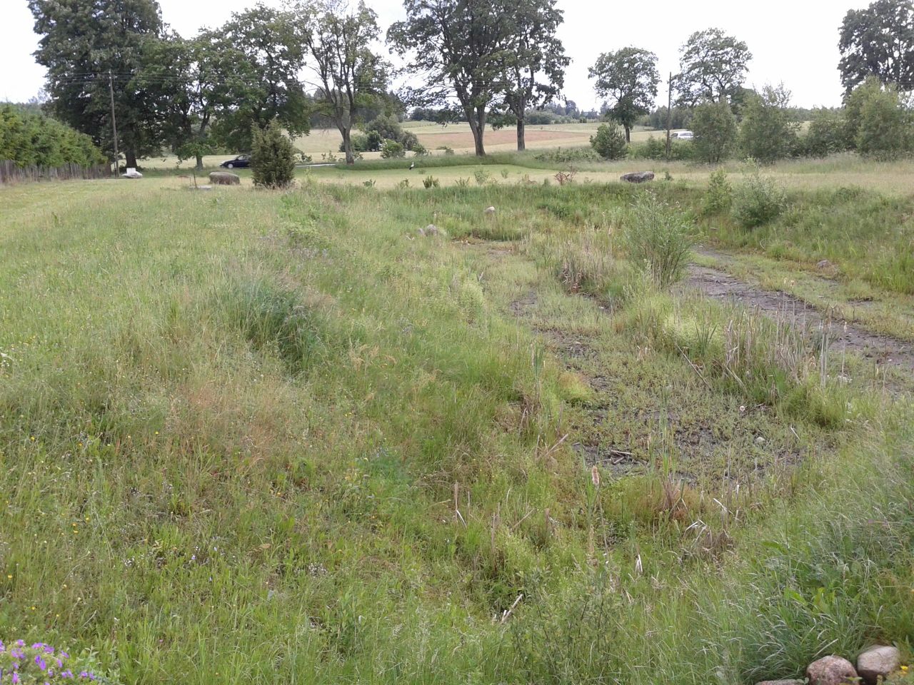 Działka budowlana Skrzydłowo. Zdjęcie 7