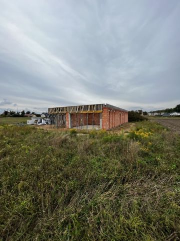 Działka budowlana Syców, ul. Borowa. Zdjęcie 1