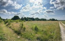 Działka budowlana Strzegów. Zdjęcie 2