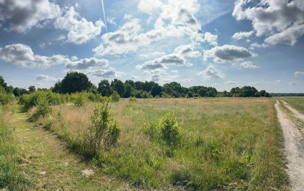 Działka budowlana Strzegów. Zdjęcie 3