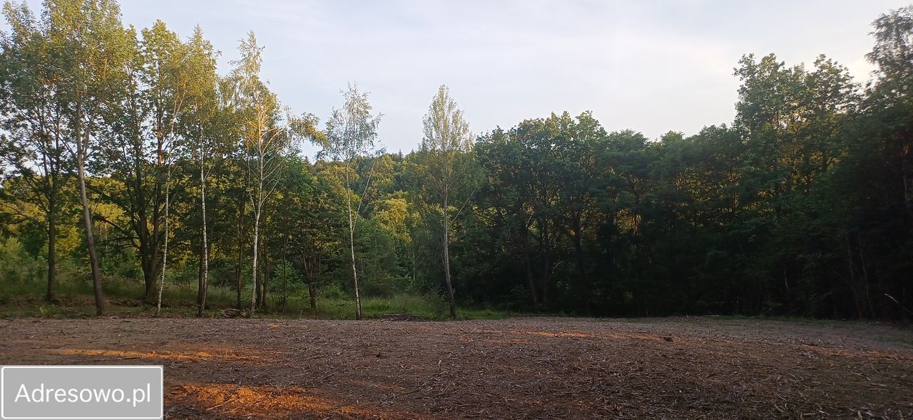 Działka budowlana Marcyporęba. Zdjęcie 3