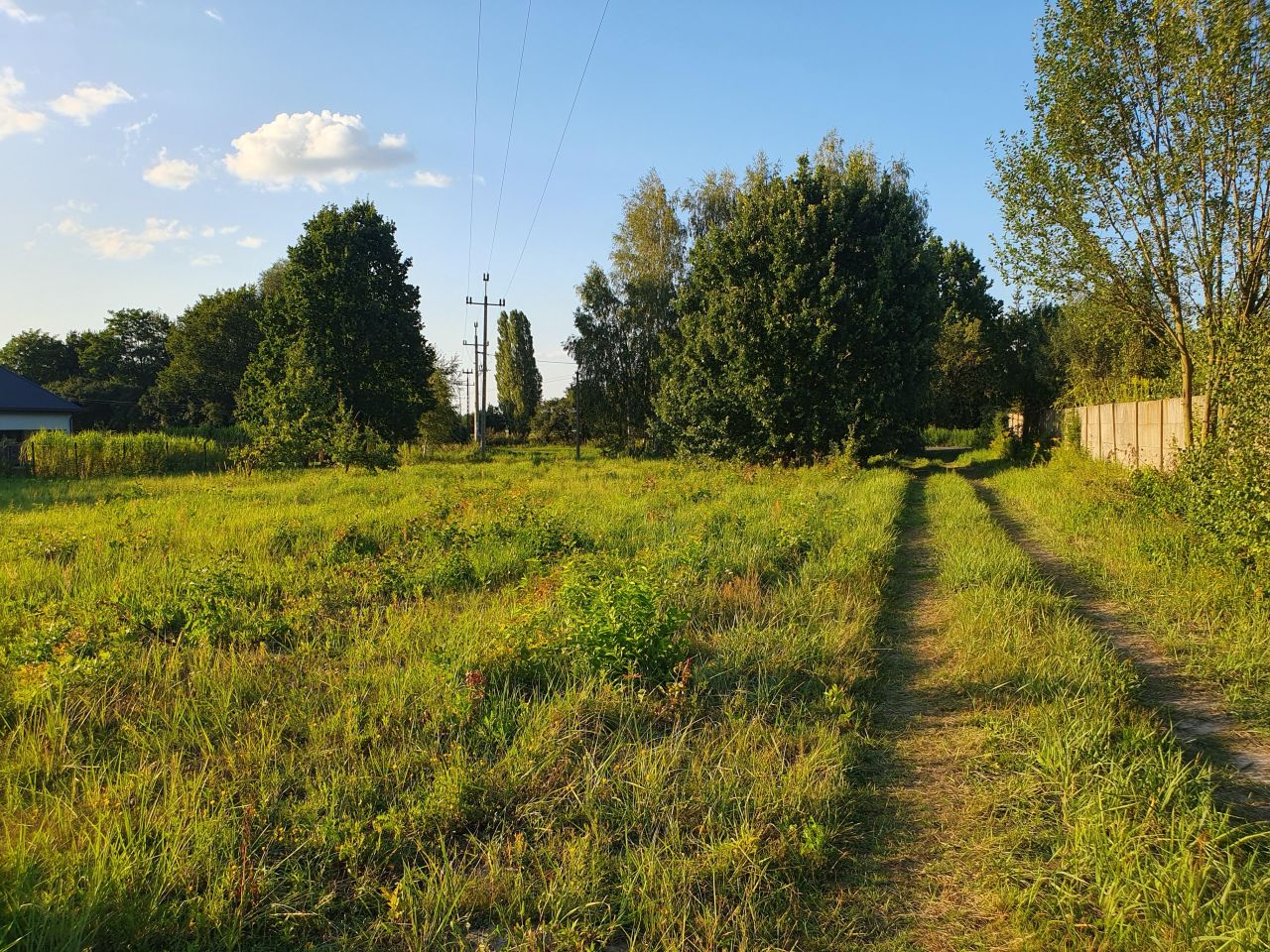 Działka budowlana Wąsy-Kolonia, ul. Graniczna. Zdjęcie 4