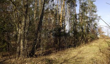 Działka leśna Staszów Golejów, ul. Leśna