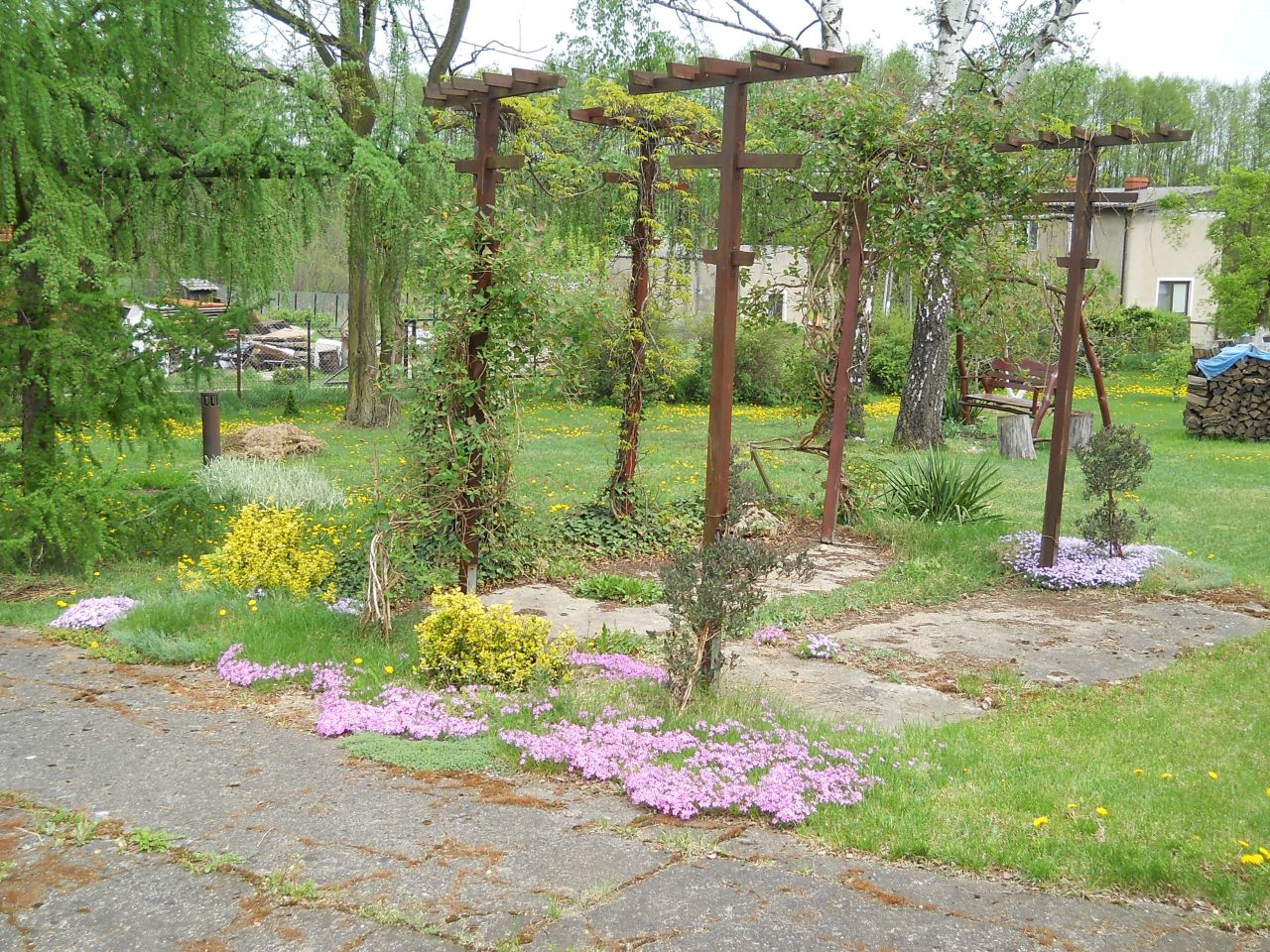 inny, 11 pokoi Skępe, ul. Sierpecka. Zdjęcie 4