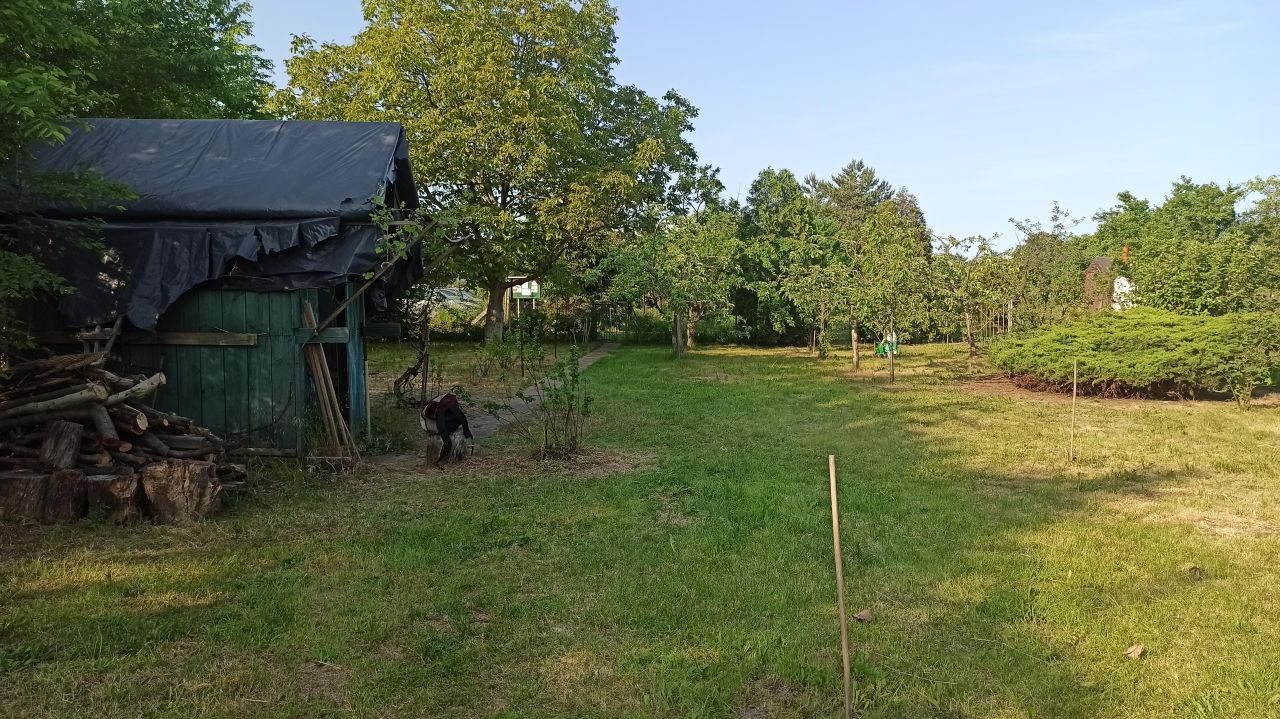 Działka rod Wrocław Księże Małe, ul. Zabrzańska. Zdjęcie 3